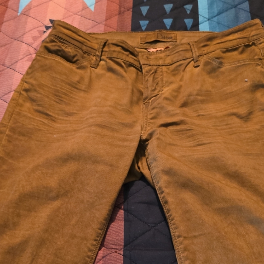 Dittos Women's Skinny Pants in Brown